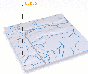 3d view of Flores