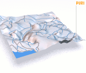 3d view of Puri