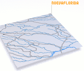 3d view of Nueva Florida