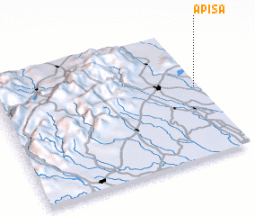 3d view of Apisa