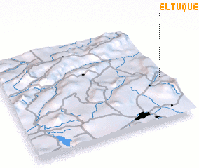 3d view of El Tuque