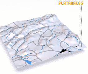 3d view of Platanales