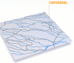 3d view of Capuranal