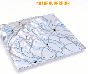 3d view of Mata Palo Arriba