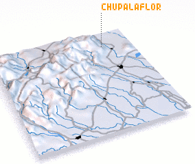 3d view of Chupa La Flor