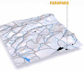 3d view of Parapara