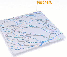 3d view of Paso Real