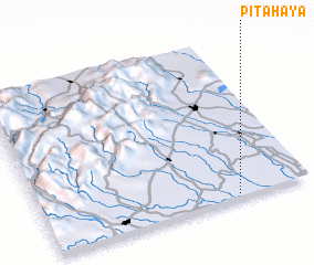 3d view of Pitahaya