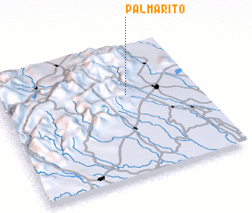 3d view of Palmarito