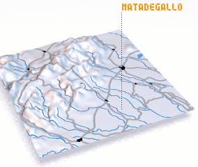 3d view of Mata de Gallo