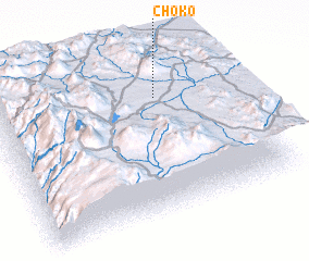 3d view of Choko