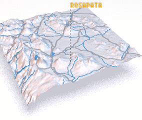 3d view of Rosapata
