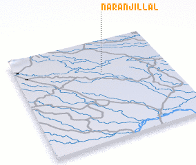3d view of Naranjillal