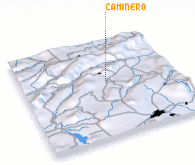 3d view of Caminero