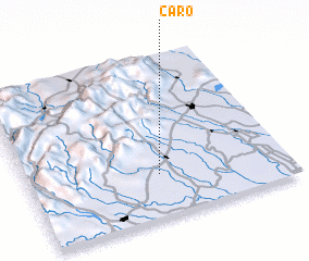 3d view of Caro