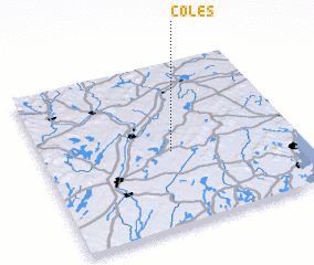 3d view of Coles