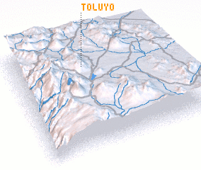 3d view of Toluyo