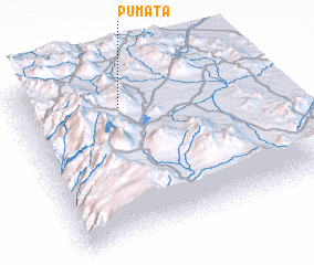 3d view of Pumata