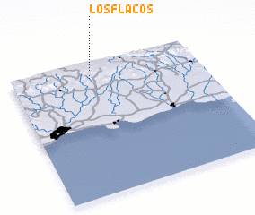 3d view of Los Flacos