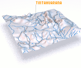 3d view of Tintahuaraña