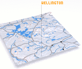 3d view of Wellington