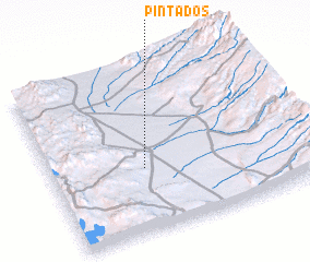 3d view of Pintados