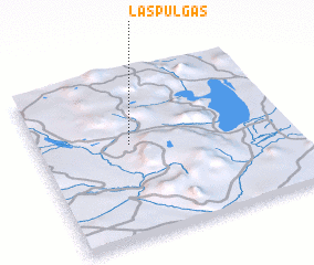 3d view of Las Pulgas