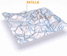 3d view of Patilla