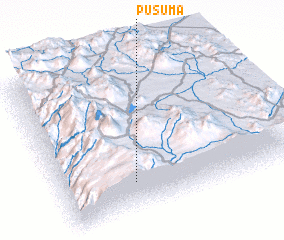 3d view of Pusuma