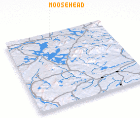 3d view of Moosehead