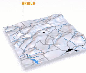 3d view of Araica