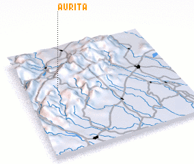 3d view of Aurita