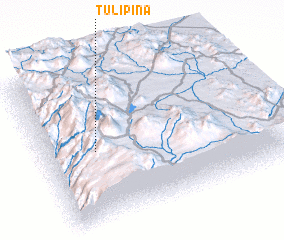 3d view of Tulipiña