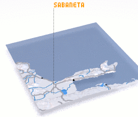 3d view of Sabaneta