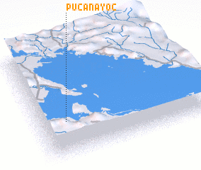 3d view of Pucanayoc