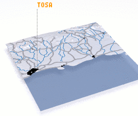 3d view of Tosa