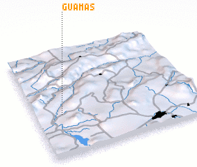 3d view of Guamas