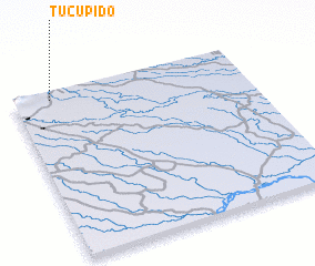 3d view of Tucupido