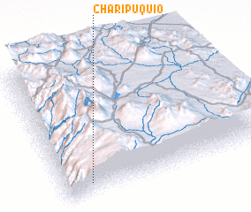 3d view of Charipuquio