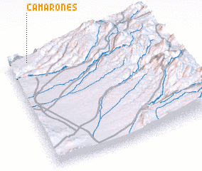 3d view of Camarones