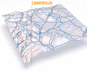 3d view of Charipujo