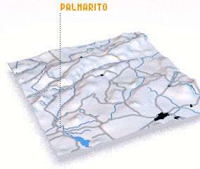 3d view of Palmarito