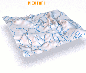 3d view of Picotani