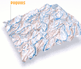 3d view of Puquios