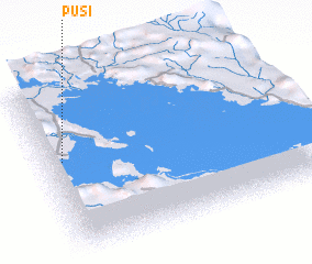 3d view of Pusi