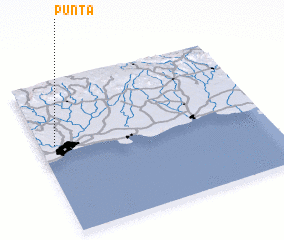 3d view of Punta