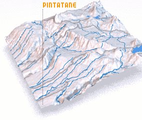 3d view of Pintatane