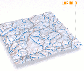 3d view of Larinho