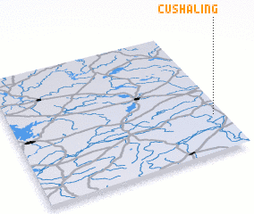 3d view of Cushaling