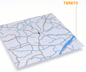 3d view of Tamato